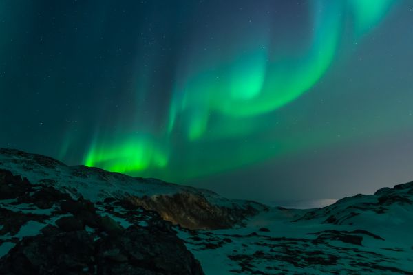 Duis aute irure dolor in reprehenderit
